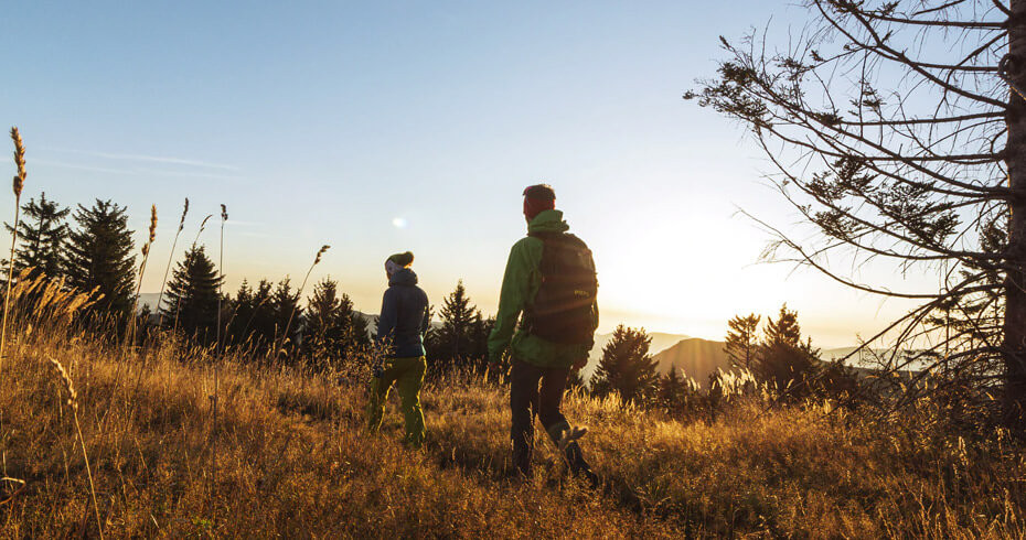 At risus pretium urna tortor metus fringilla